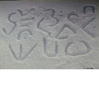Snow Calligraphy